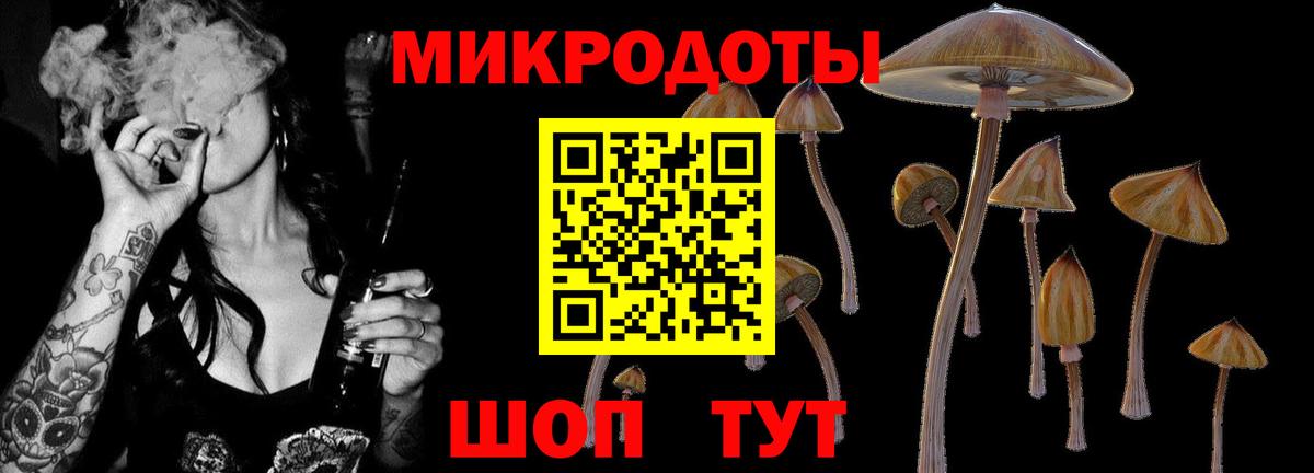 Псилоцибиновые грибы Magic Shrooms  Вход с VPN  Чита  Галлюциногенные грибы Magic Shrooms 